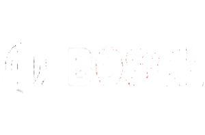 bosch-logo.webp
